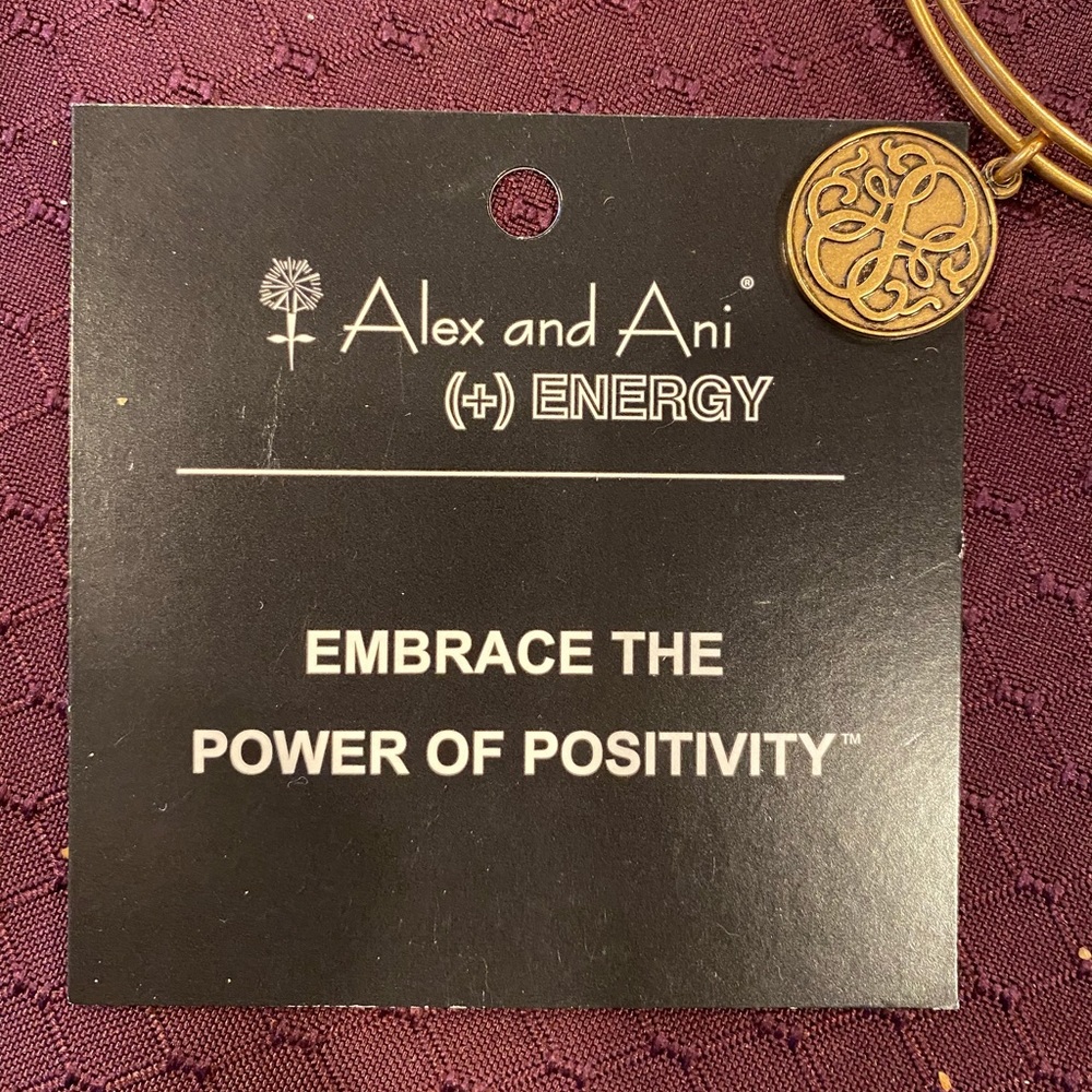 Alex and Ani Bangle Bracelet